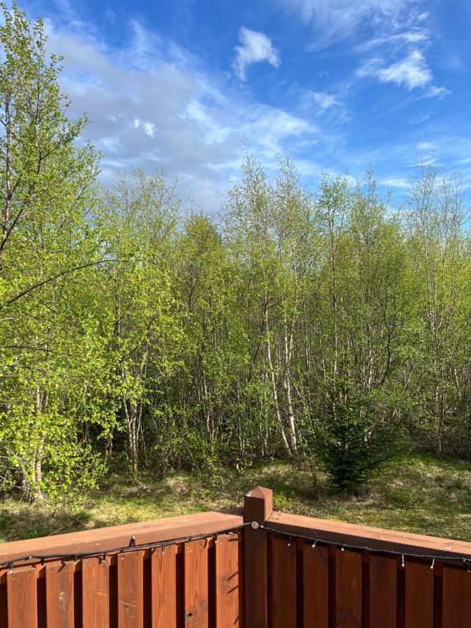 Summerhouse Vaglaskogur آكيورِيْري المظهر الخارجي الصورة