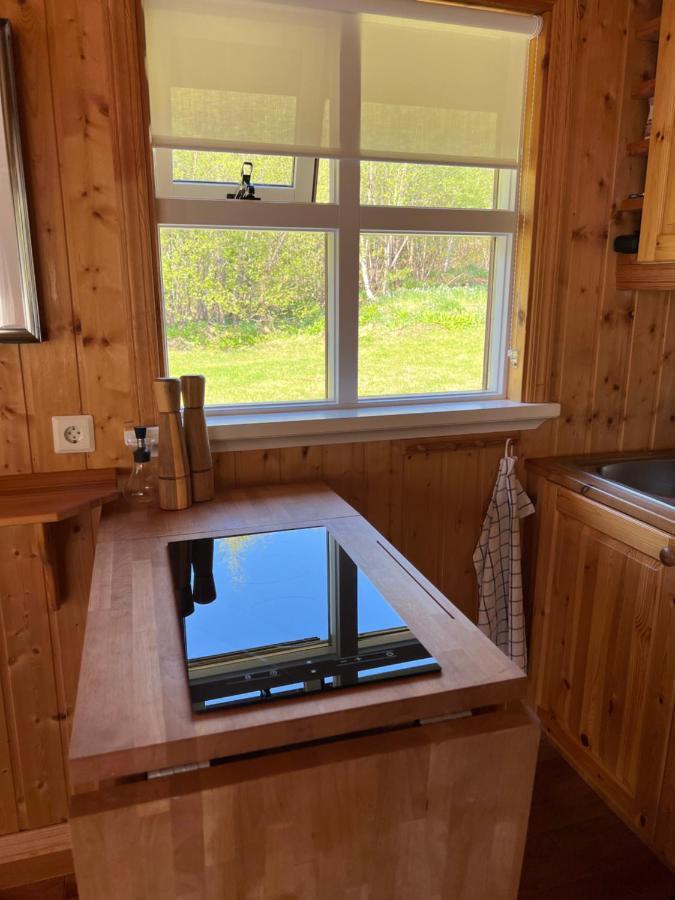 Summerhouse Vaglaskogur آكيورِيْري المظهر الخارجي الصورة