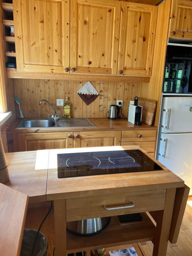 Summerhouse Vaglaskogur آكيورِيْري المظهر الخارجي الصورة