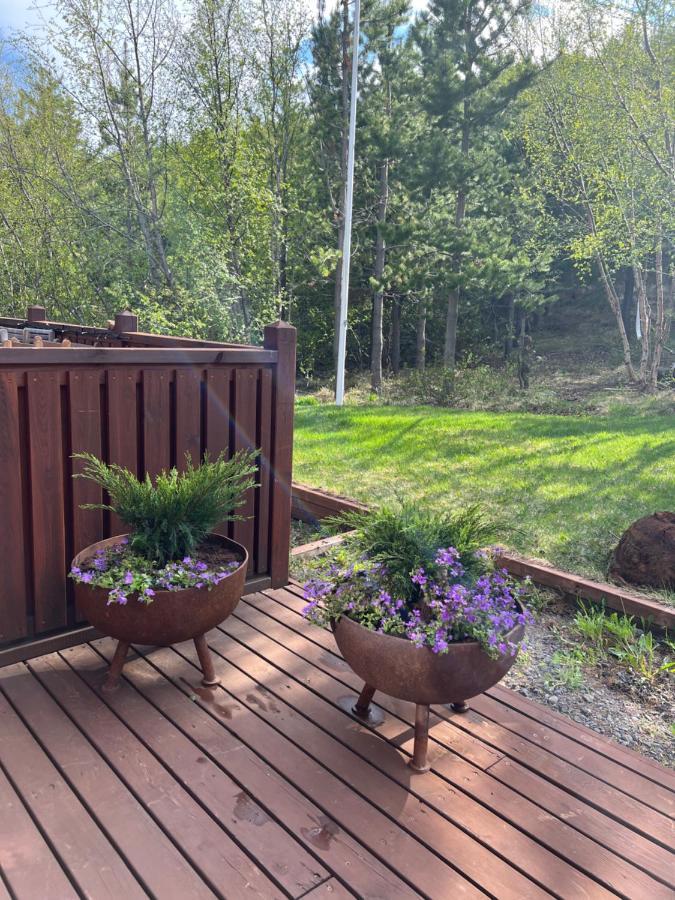 Summerhouse Vaglaskogur آكيورِيْري المظهر الخارجي الصورة